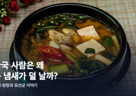 한국 사람은 왜 몸 냄새가 덜 날까? 김치·된장과 유산균 이야기
