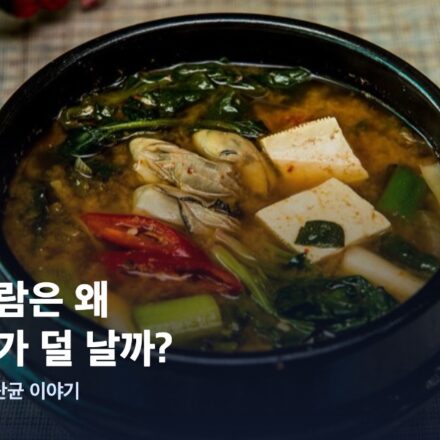 한국 사람은 왜 몸 냄새가 덜 날까? 김치·된장과 유산균 이야기